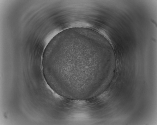 X0000099451103200805231735