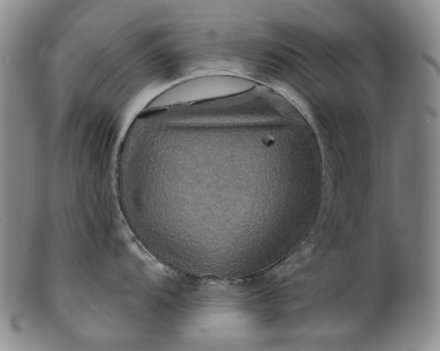 X0000099451104200805231735