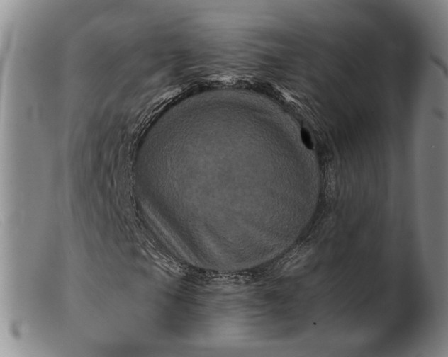 X0000099451105200805231734