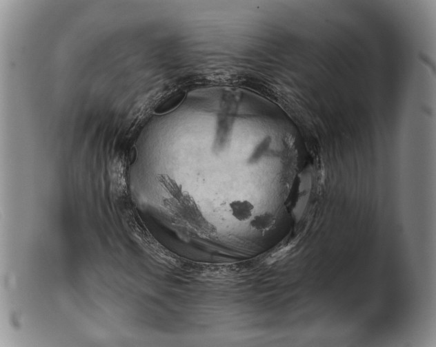 X0000099451106200805231734