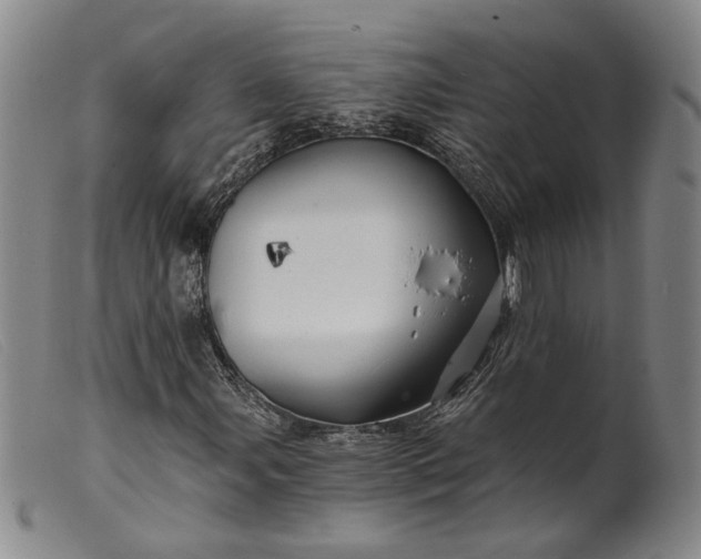 X0000099451107200805231734