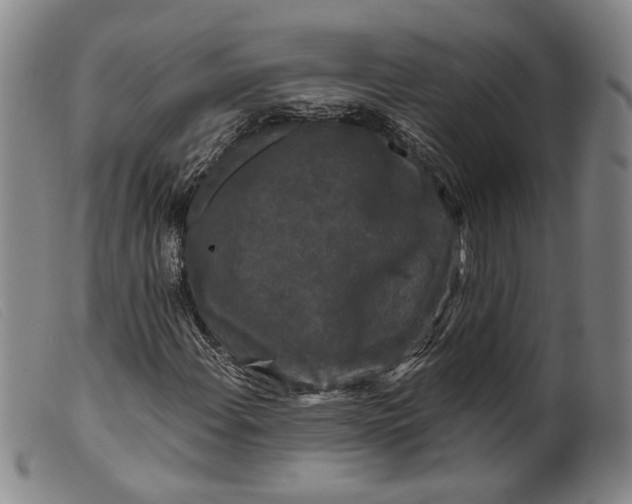 X0000099451108200805231734