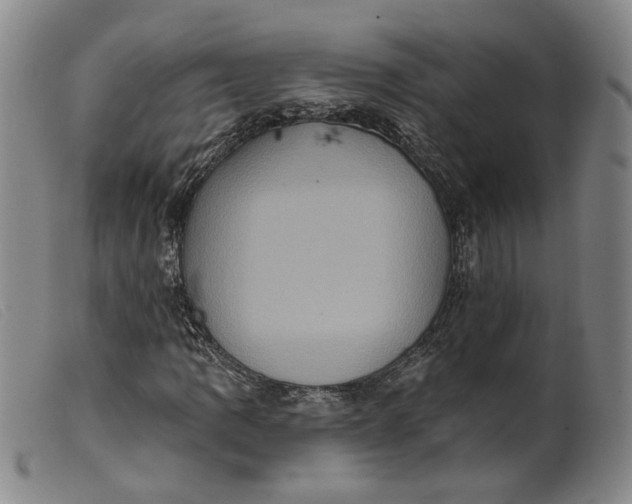 X0000099451109200805231734