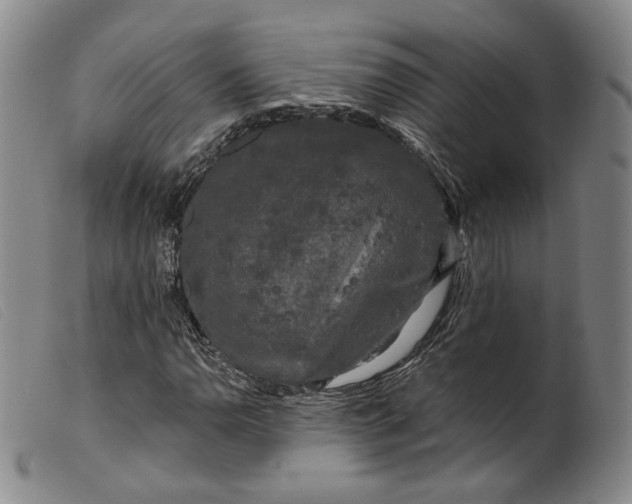 X0000099451110200805231734