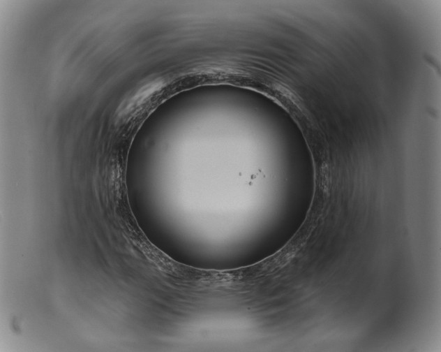 X0000099451111200805231734