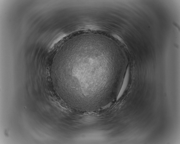 X0000099451112200805231734