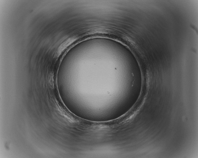 X0000099451113200805231734