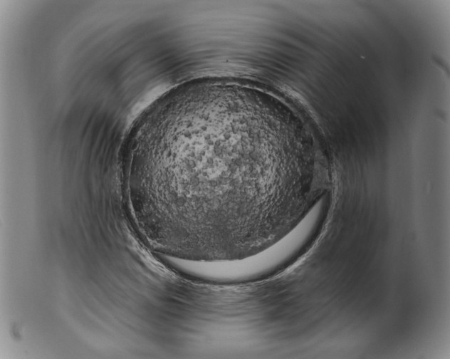 X0000099451114200805231734