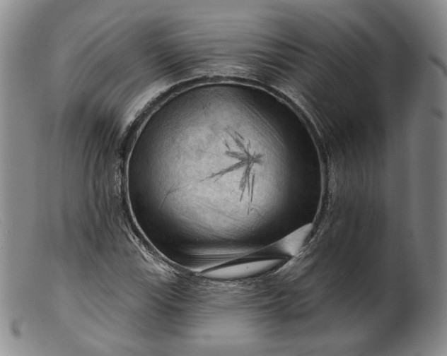 X0000099451115200805231735