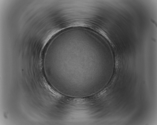 X0000099451116200805231735