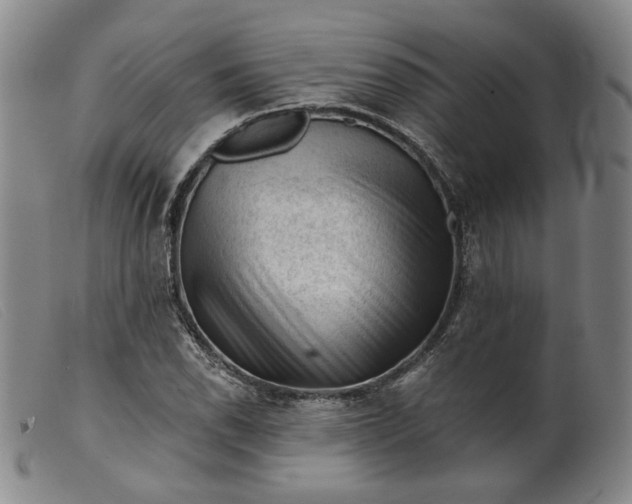 X0000099451118200805231735