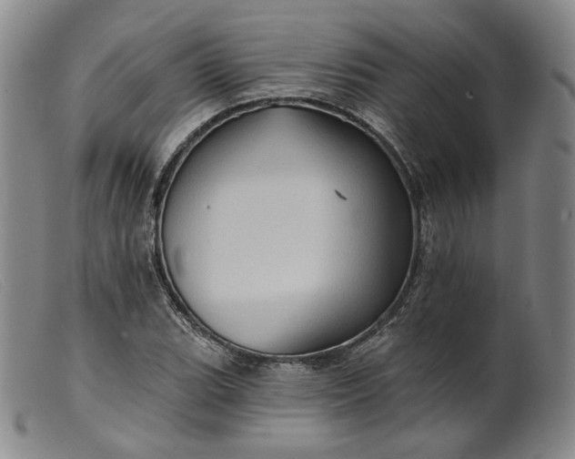 X0000099451119200805231735