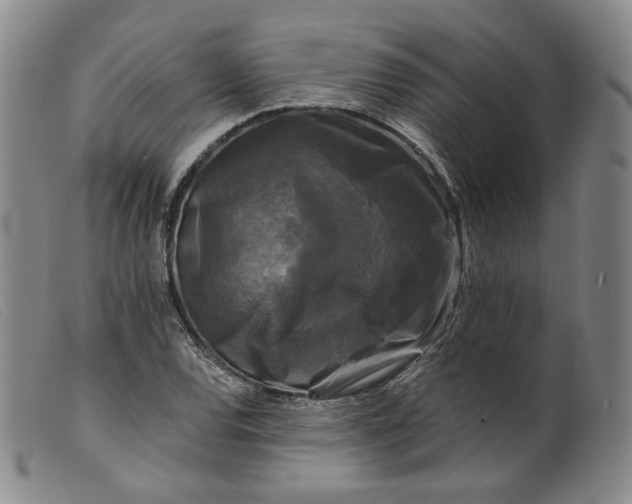 X0000099451120200805231735