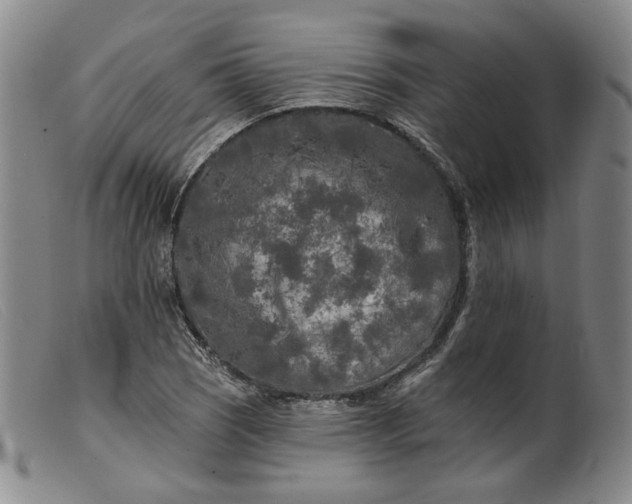 X0000099451121200805231735