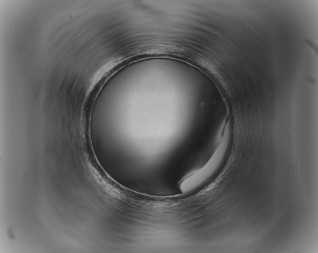 X0000099451122200805231735