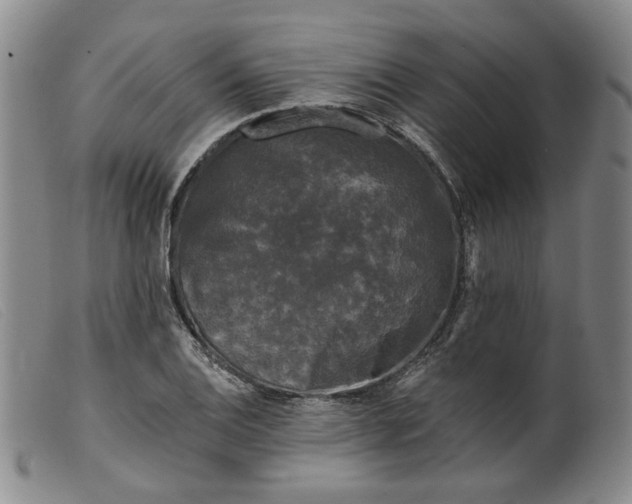 X0000099451124200805231735