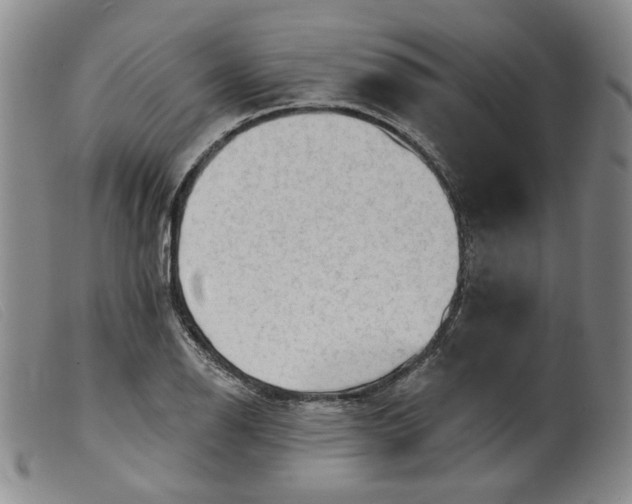 X0000099451126200805231735