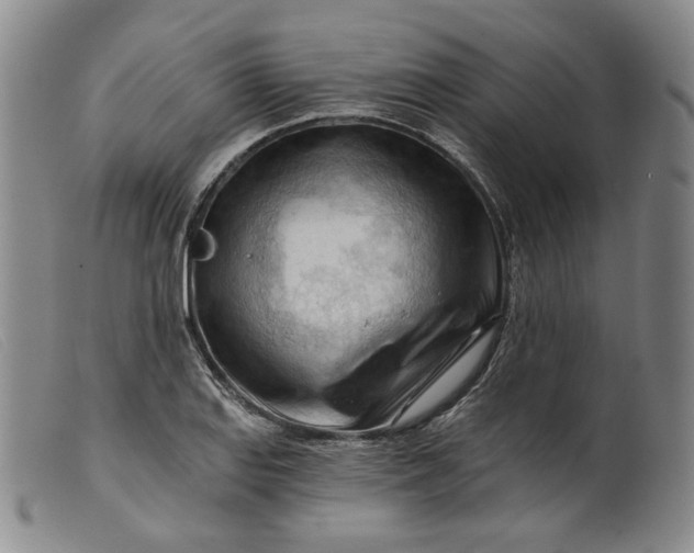 X0000099451127200805231735