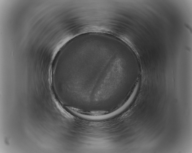 X0000099451128200805231735