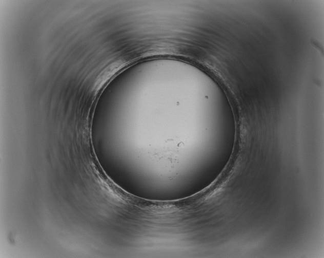 X0000099451129200805231735