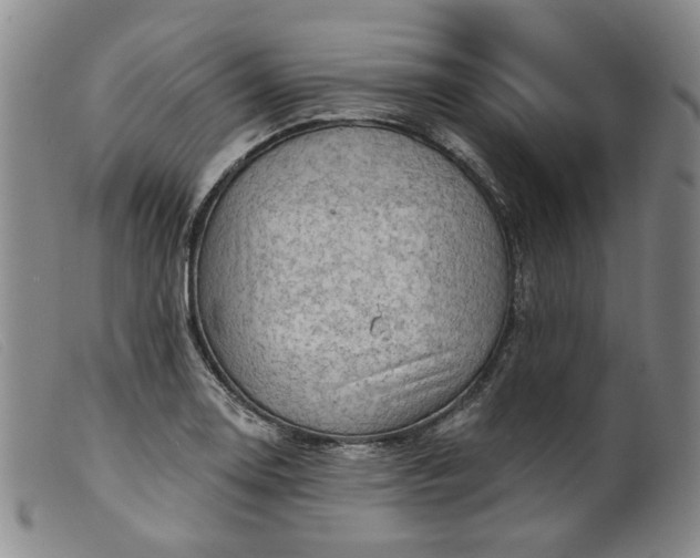 X0000099451130200805231735