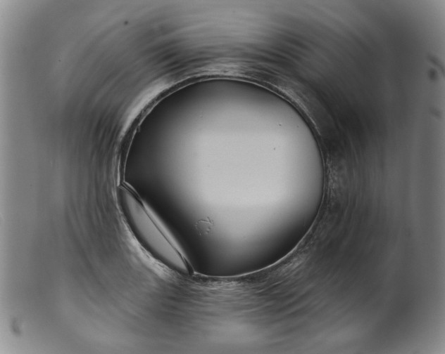 X0000099451131200805231735