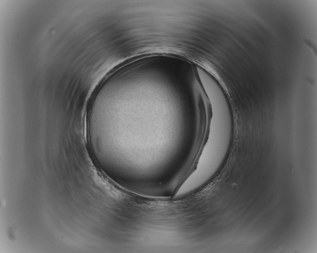 X0000099451132200805231735