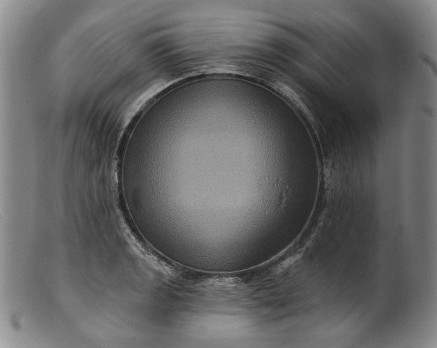 X0000099451133200805231735