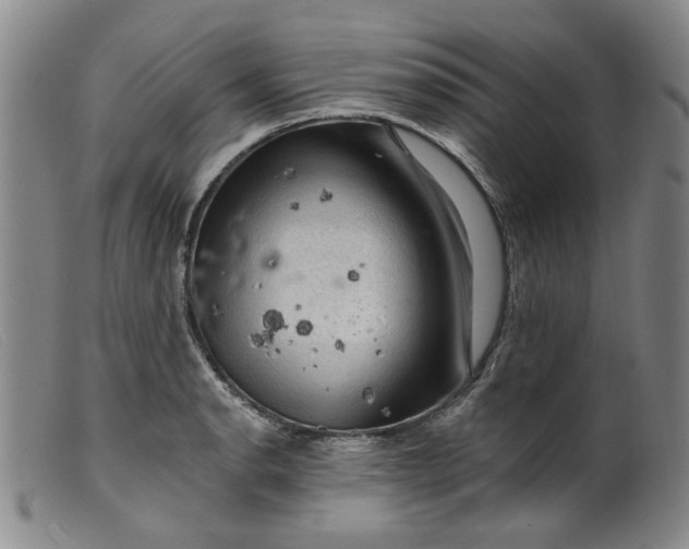 X0000099451134200805231735