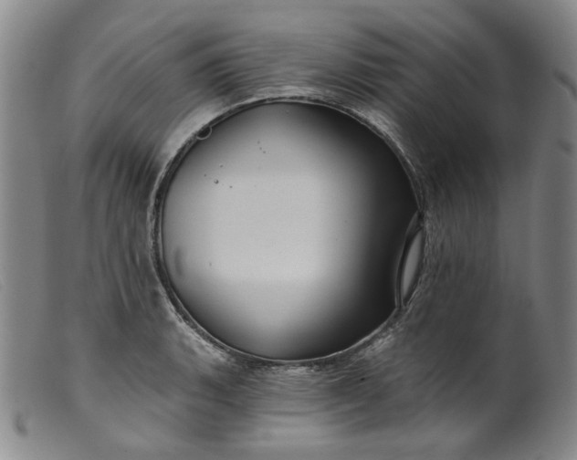 X0000099451135200805231735