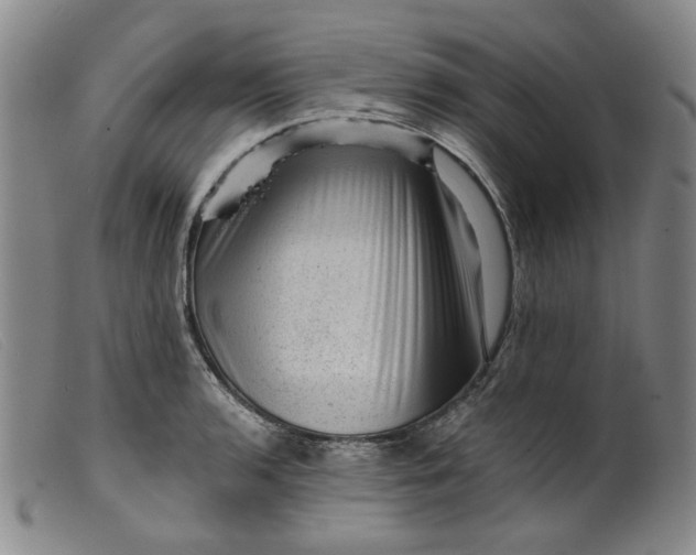 X0000099451136200805231735