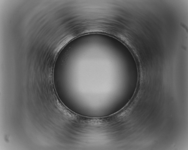 X0000099451137200805231735