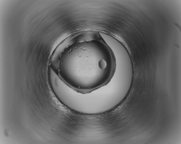 X0000099451138200805231735