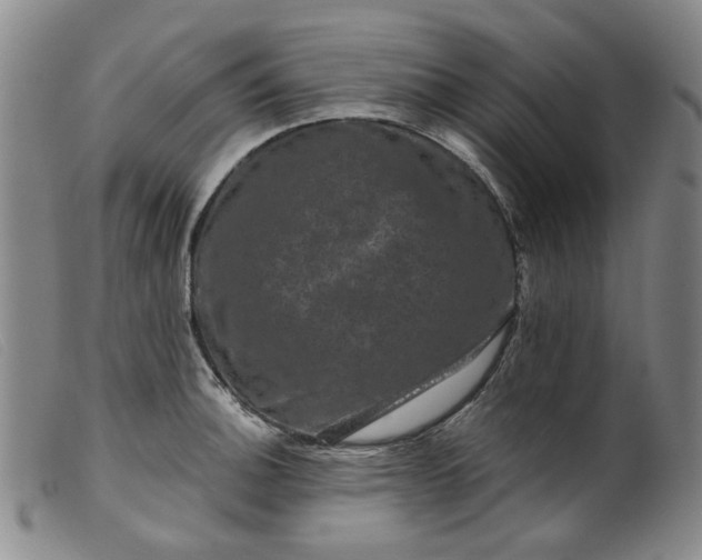 X0000099451140200805231735