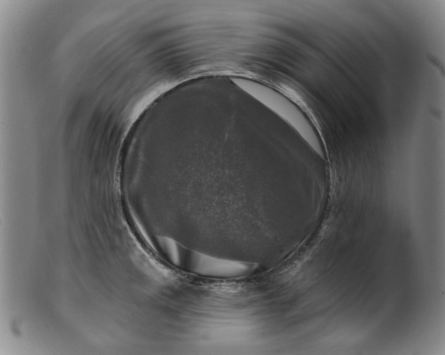 X0000099451141200805231735