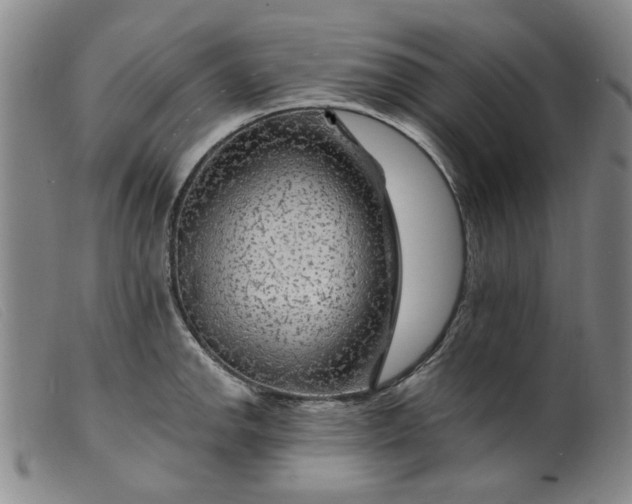 X0000099451142200805231735