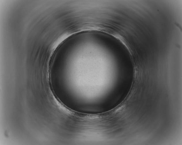 X0000099451143200805231735