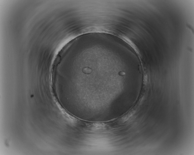 X0000099451144200805231735