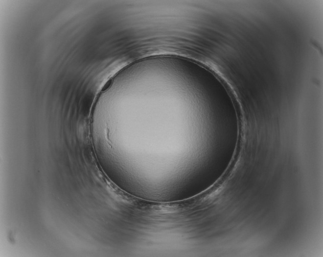 X0000099451145200805231735