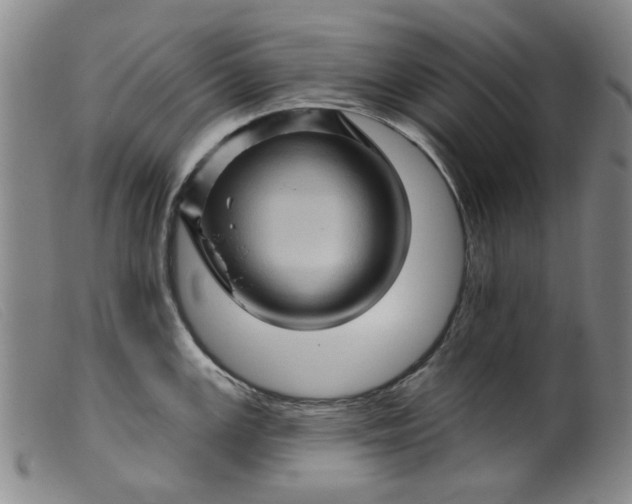 X0000099451147200805231735