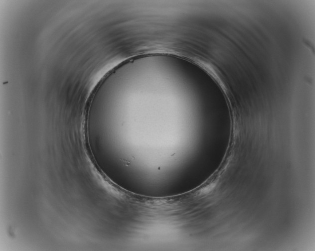 X0000099451149200805231735