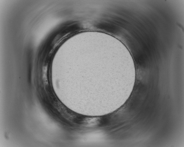 X0000099451150200805231735