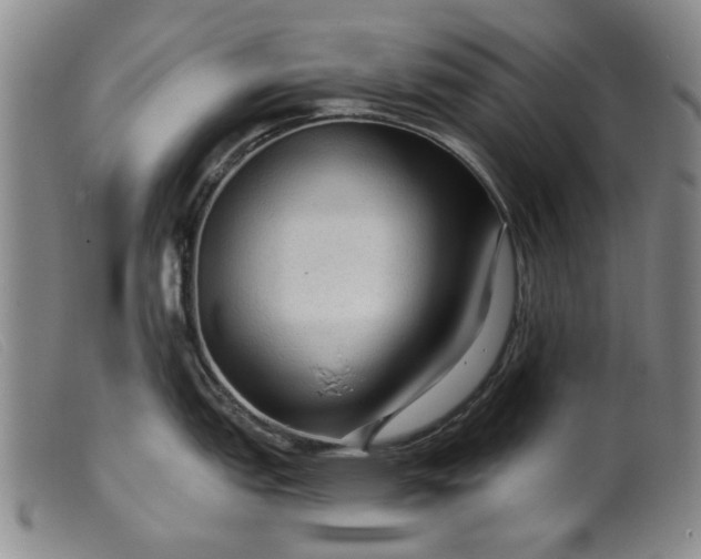 X0000099451151200805231735