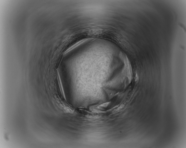 X0000099451153200805231734