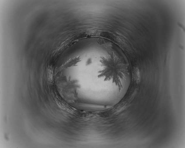 X0000099451154200805231734