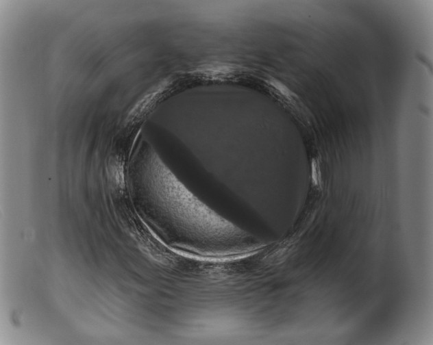 X0000099451155200805231734