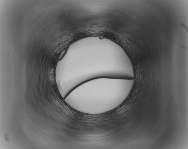 X0000099451156200805231734