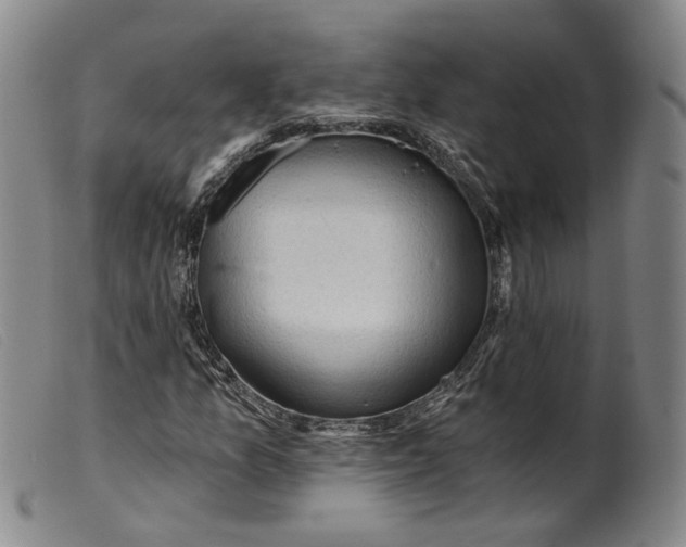 X0000099451157200805231734