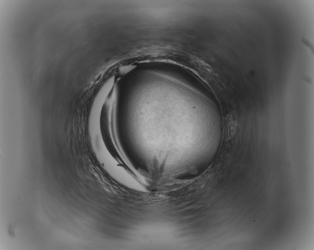 X0000099451158200805231734