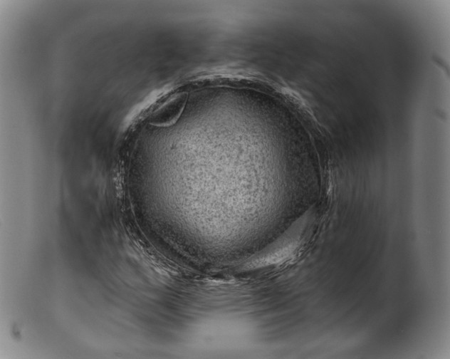 X0000099451159200805231734